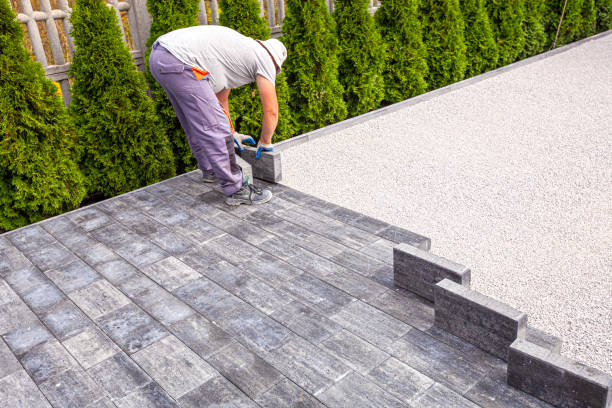 Best Driveway Paver Repairs and Restoration in Crane, TX